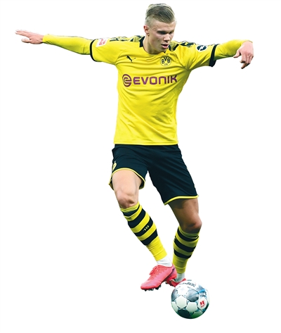 杨鸣：赵继伟的回归对我们非常重要